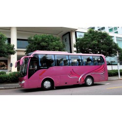 出口大金龍客車(chē),，買(mǎi)質(zhì)量可靠的大金龍客車(chē)當(dāng)然是到廈門(mén)龍捷通了