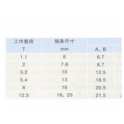 鏈條調(diào)節(jié)器供應(yīng) 買(mǎi)鏈條調(diào)節(jié)器_來(lái)東方力神吊裝設(shè)備