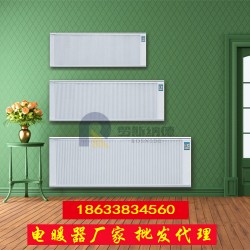 濟(jì)南智能家用碳纖維電暖器 壁掛式可移動(dòng)式電取暖器 廠家直銷