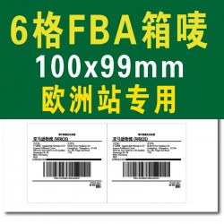 歐洲站6格10*10cm亞馬遜FBA外箱物流倉(cāng)存轉(zhuǎn)運(yùn)條碼標(biāo)簽