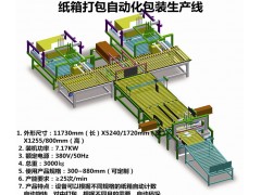 紙箱自動化包裝流水線設(shè)備包裝生產(chǎn)線定制