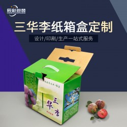 水果伴手禮盒紙箱彩印瓦楞牛皮紙10斤裝脆李子扣底手提盒定制