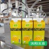 手動(dòng)型果汁灌裝機(jī)設(shè)備 沈陽(yáng)北亞灌裝機(jī)廠家